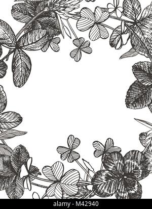 Hand-drawn graphic clover flower illustration. Painted botanical three-leaved meadow grass, isolated on white background. Happy St.Patrick 's Day card compositions. Stock Vector