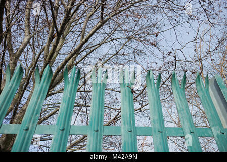 A pretty teal gate surrounded by trees with a blue sky background. The shot was taken close to Edinburgh Park, Scotland. Stock Photo