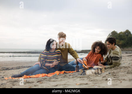 Group of young adult sitting around fire on winter break Stock Photo