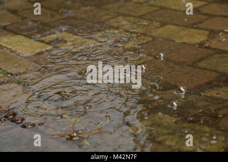 Rain is falling on the street Stock Photo