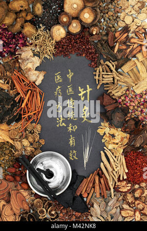 Chinese alternative medicine with herb selection and acupuncture needles, moxa sticks used in moxibustion therapy and calligraphy script. Stock Photo