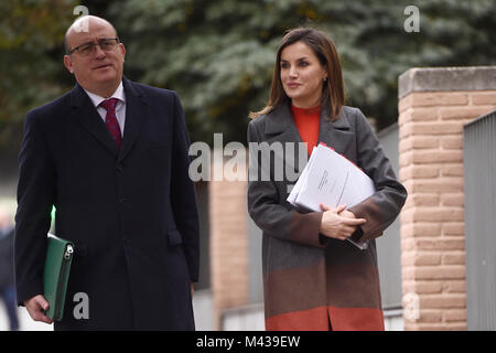 Madrid, Spain. 14th Feb, 2018. Spanish Queen Letizia Ortiz during a working meeting with the board of the Spanish federation of rare diseases (Feder) in Madrid Wednesday, Jan. 14, 2018 Credit: Gtres Información más Comuniación on line, S.L./Alamy Live News Stock Photo