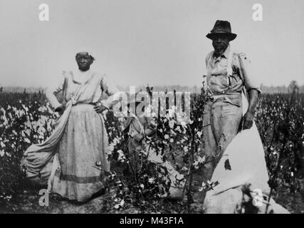 African American slaves picking cotton on a plantation in the Deep ...