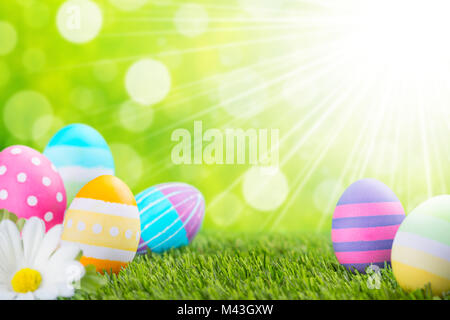 A collection of colourful hand-painted Easter eggs lying in the grass. Stock Photo