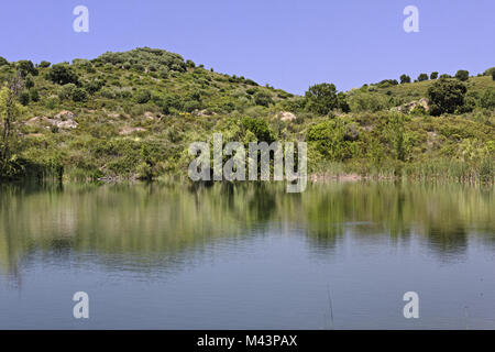 Padula lake near Oletta in the Nebbio, Corsica Stock Photo