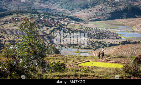 Rural Landscape with Paddy Fields, Southern Madagascar Stock Photo