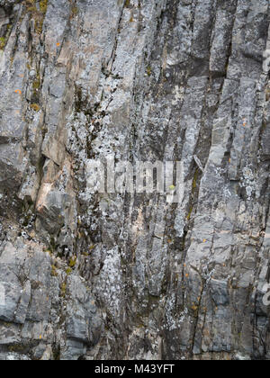 Vertical layers of light, medium and dark gray rock with green moss growing of the face. Photographed in Cierva Cove Antarctica. Stock Photo