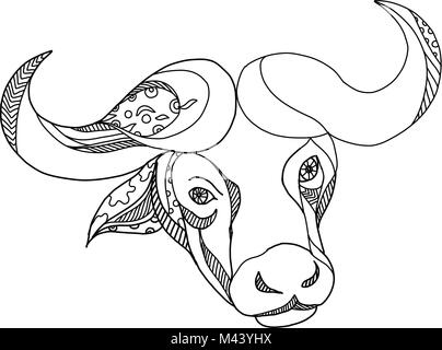 doodle art illustration of african buffalocape buffalo or syncerus