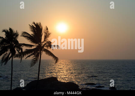 Palm Trees Silhouette At Sunset Stock Photo