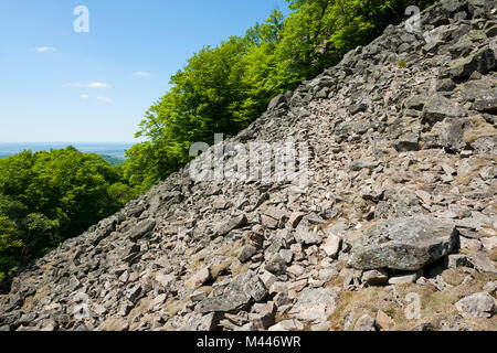 Block heap at Milseburg mountain,nature reserve Milseburg,biosphere reserve Rhön,Hesse,Germany Stock Photo