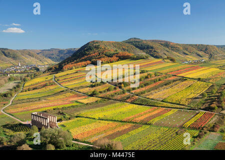 Vineyards near Bremm with view to the ruins of Stuben monastery and Ediger-Eller,Moselle,Rhineland-Palatinate,Germany