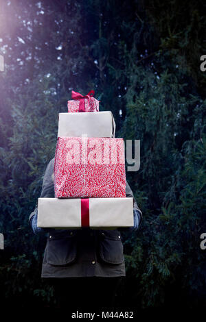 Woman carrying stack of Christmas presents, fir tree in background Stock Photo
