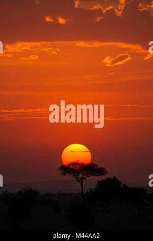 Serengeti National Park, Tanzania Stock Photo