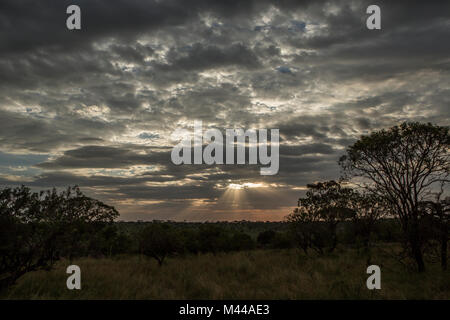 Serengeti National Park, Tanzania Stock Photo