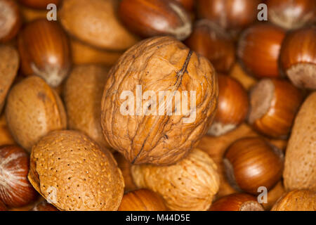 walnut sitting on a pile of mixed nuts Stock Photo
