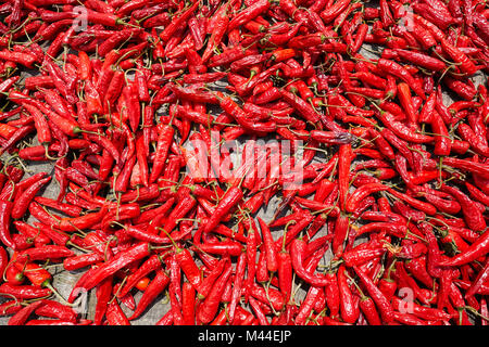 Red hot peppers dry on the sun, selective focus. Stock Photo