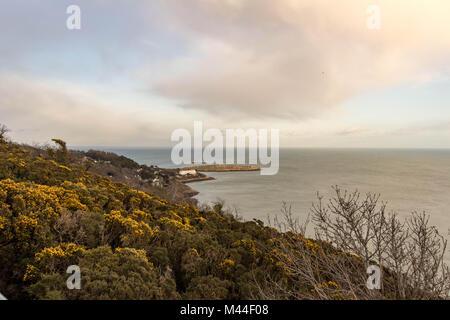 A view of Sorrento Terrace and Dalkey Island from Killiney Hill. Sorrento terrace boasts some of the most expensive houses in Ireland. Stock Photo