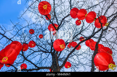 Chinese lanterns hanging from a tree in Liverpool city centre 2018 to celebrate Chinese new year. Stock Photo