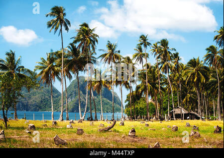 palm grove on the sea shore. Tropical country, landscape. mountain islands on the background. Pholippines Stock Photo