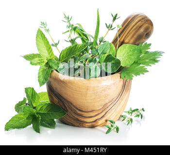 Different fresh herbs in the wooden mortar. Stock Photo