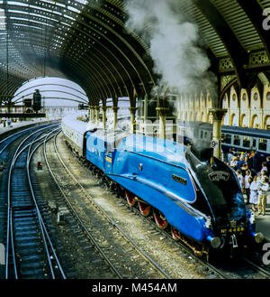 LNER Class A4 4468 Mallard No 4468 at York Station in 1986 on the special route of the Scarborough Spa Express. Stock Photo