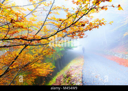 Person runs a road on the edge of the forest. Montemezzo, Como Lake, Lombardy. Italy. Stock Photo