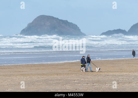 Dog walkers on Perranporth Beach in Cornwall UK. Stock Photo