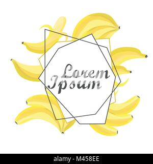 Summer fruit composition. Banana illustration. Vector illustration Stock Vector