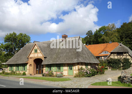 Kessin near Rostock, mecklenburg-vorpommern,german Stock Photo