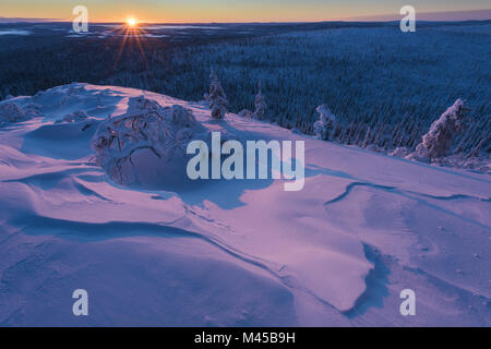winter landscape in morning sun, Lapland, Sweden Stock Photo