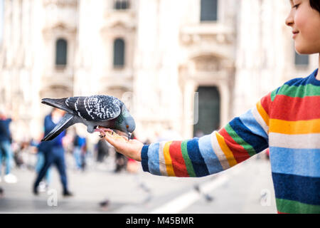 Boy feeding pigeon on hand in square, Milan, Lombardy, Italy Stock Photo