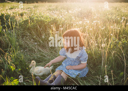 Young girl in field, stroking duck Stock Photo