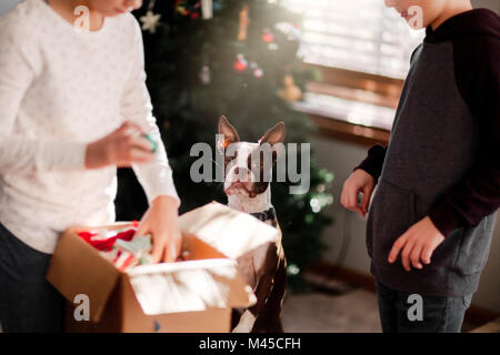 Brother and sister putting up Christmas decorations Stock Photo
