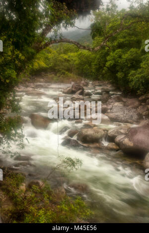 Mossman river at Mossman Gorge,  located in the Daintree National Park -  North Queensland - Australia  rushing towards Trinity Bay and the Coral Sea Stock Photo