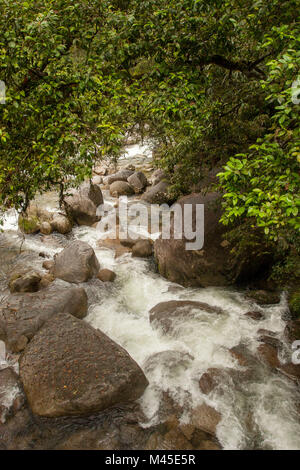 Mossman river at Mossman Gorge,  located in the Daintree National Park -  North Queensland - Australia  rushing towards Trinity Bay and the Coral Sea Stock Photo