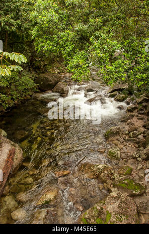 Mossman river at Mossman Gorge,  located in the Daintree National Park -  North Queensland - Australia  rushing towards Trinity Bay and the Coral Sea Stock Photo