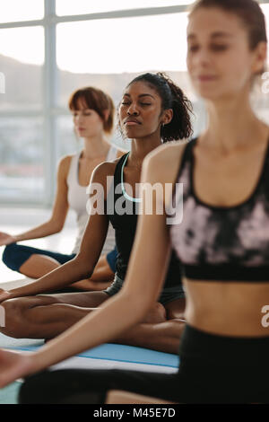 Fitness people practicing mindfulness and peaceful yoga meditation workout. Group of women meditating in lotus pose at fitness studio. Stock Photo