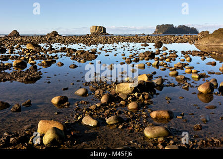 WA13435-00...WASHINGTON - Off-shore island and a rocky beach near Cape Alava on the Pacific Coast in Olympic National Park. Stock Photo