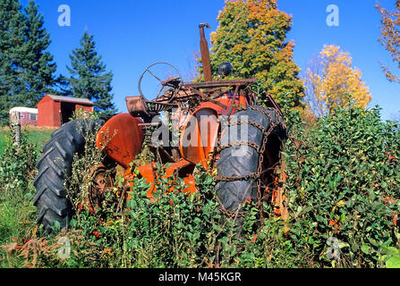 An old, orange tractor sits abandoned in a weedy field on a farm in rural Vermont, USA. Stock Photo