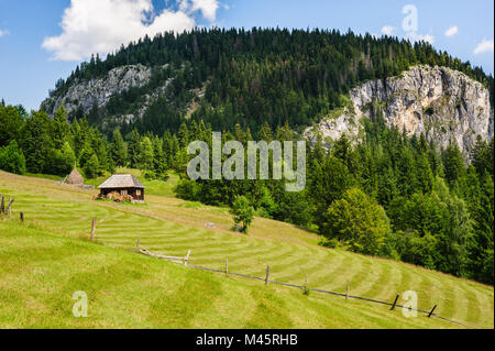 Single house on a meadow in mountains Stock Photo
