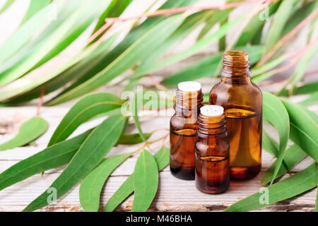 Eucalyptus essential oil in the amber glass bottle Stock Photo