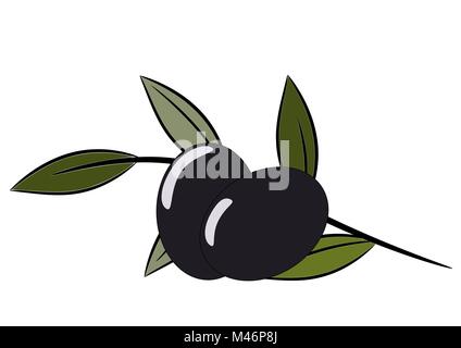 Olive tree twig with two olives, healthy food vector illustration Stock Vector