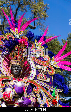 New Orleans, Louisiana / USA - 02/13/2018: Mardi Gras Indian during Krewe Of Zulu Parade Credit: Steven Reich/Alamy Live News Stock Photo