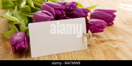 Purple tulips with white card on wood background. Stock Photo