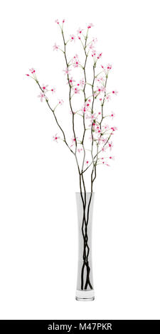 flowering tree twigs in glass vase isolated on white background Stock Photo