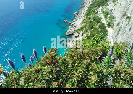 spring in capri Stock Photo - Alamy
