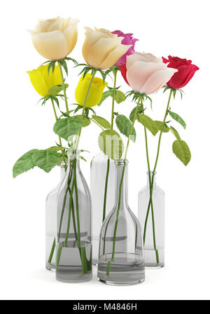 roses in glass vases isolated on white background Stock Photo