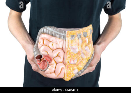 Man holding model of human intestines or bowels on white Stock Photo