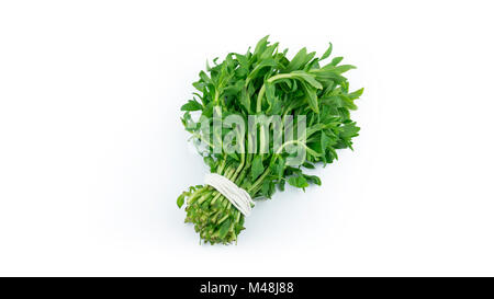 Rice Paddy Herbs on white background Stock Photo