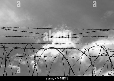 Security area secured with barbed wire fence black and white Stock Photo